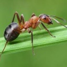 NigdyNaTymProfiluNieBedzieQuiz