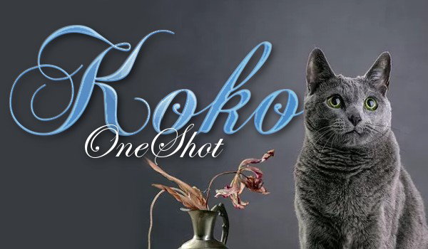 Koko-One Shot