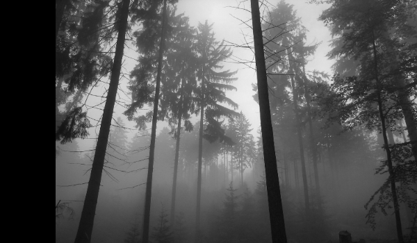 Dream City is Real #1