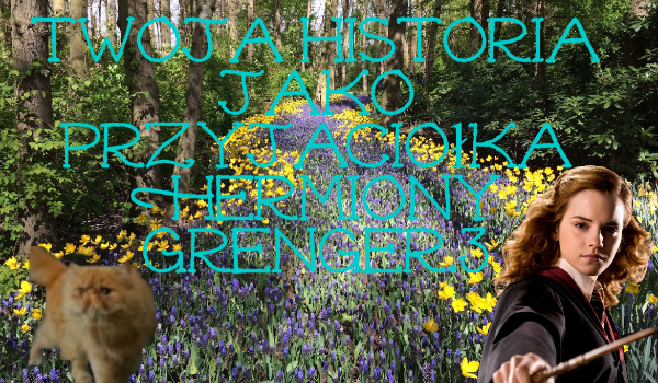 Twoja historia jako przyjaciółka Hermiony Grenger.#3