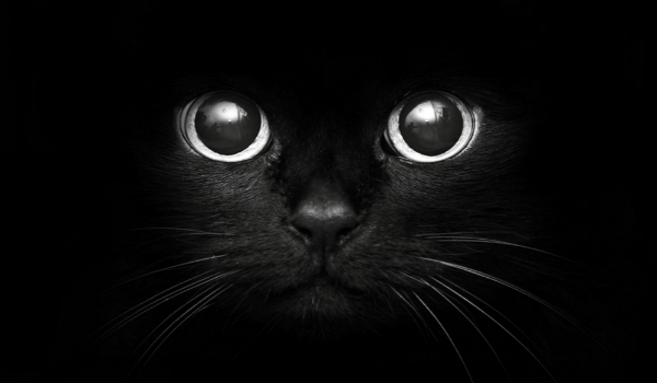 Harry Potter Classic Quiz