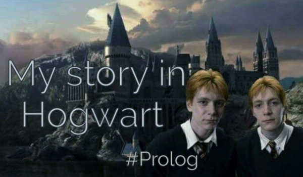 My story in Hogwart #1