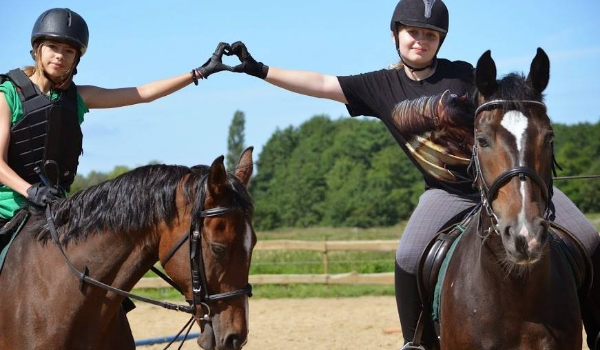 czy jesteś dobrym jeźcem? sprawdź!