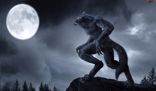 na konkurs labiryntomaniaczki