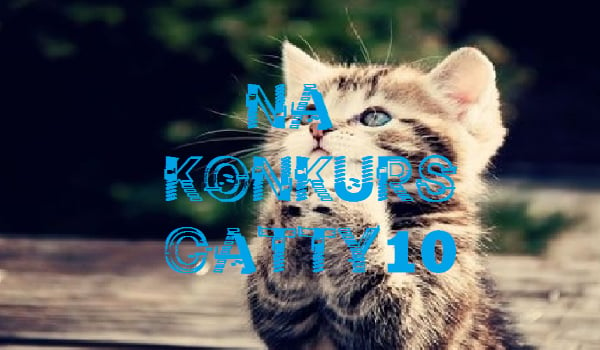 Na konkurs catty10