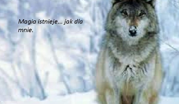 Magia… Istnieje jak dla mnie #19