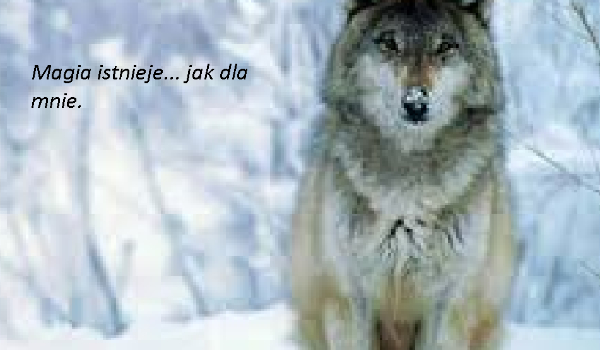 Magia… Istnieje jak dla mnie #17