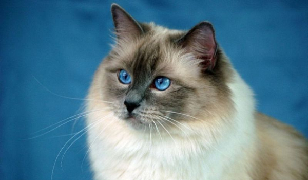 Na konkurs @lwikotel789.