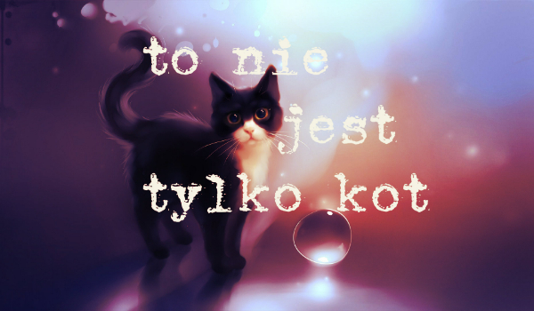 To nie jest tylko kot#3