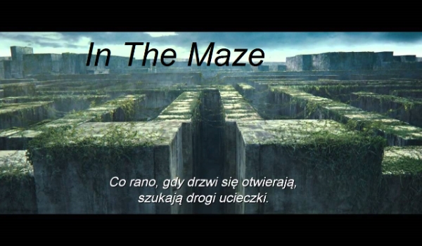 In the Maze #1