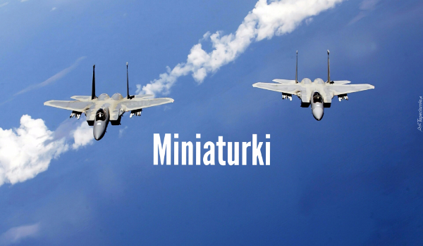 Miniaturki #2 Miniaturka dla: Avia