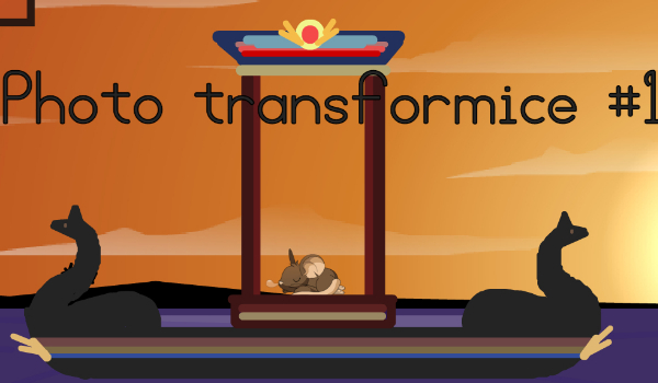 Photo Transformice #1