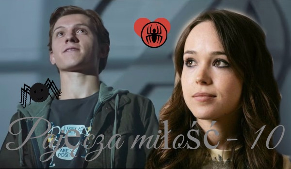 Pajęcza miłość-10