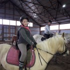 Oliwiahorseloverever