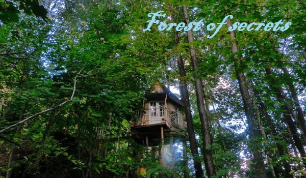Forest of secrets #2