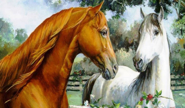 Czy rozpoznasz wszystkie rasy koni?