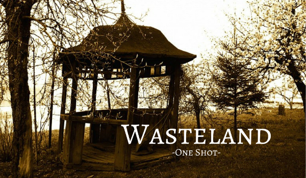 Wasteland – One Shot