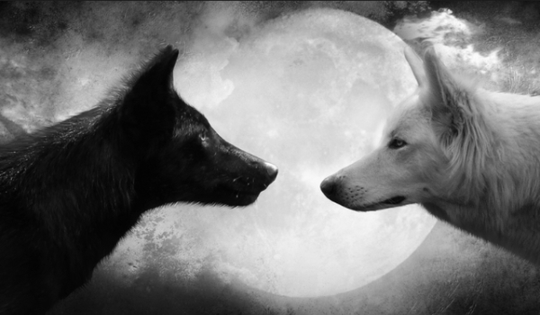 Twoja historia w Hogwarcie #4