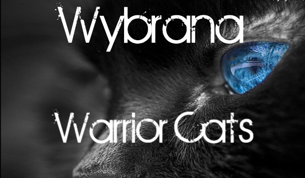 Wybrana-Warrior Cats-Postacie