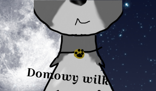 Domowy wilk # 2