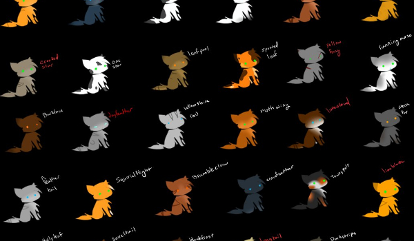 Czy rozpoznasz koty z serii „Warrior cats” po ich cytatach? [ANGIELSKI]