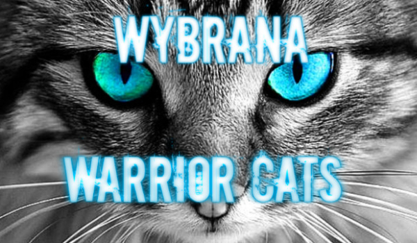 Wybrana-Warrior Cats-Rozdział II Lasek