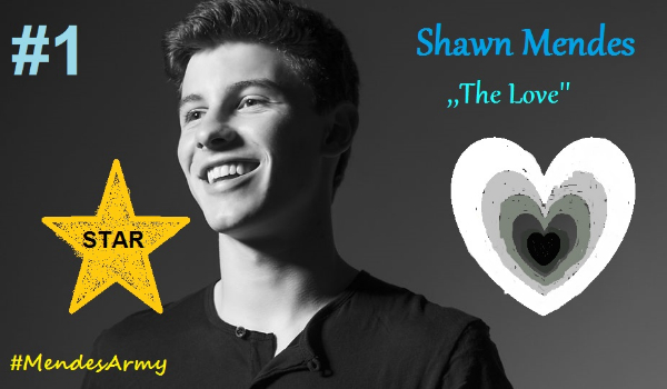 Shawn Mendes- The Love #1
