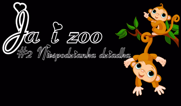 Ja i zoo #2 Niespodzianka dziadka