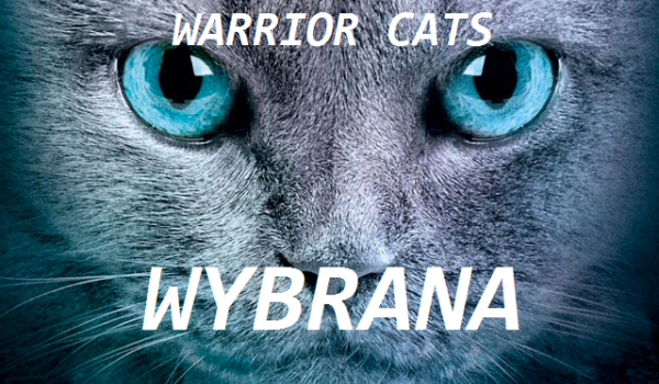 Wybrana-Warrior Cats-PROLOG [zakończona]