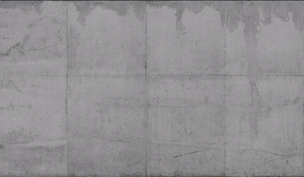 Na konkurs plateksniegu