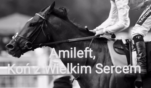 Amileft, Koń z Wielkim Sercem ,,Finish”