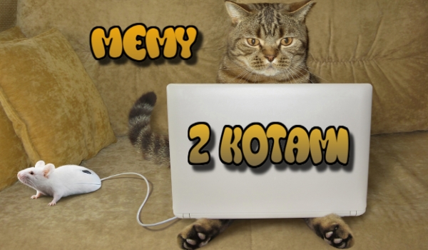 memy z kotami! #1