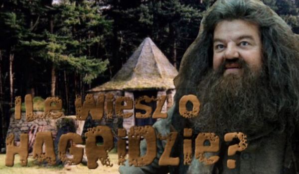 Ile wiesz o Hagridzie?