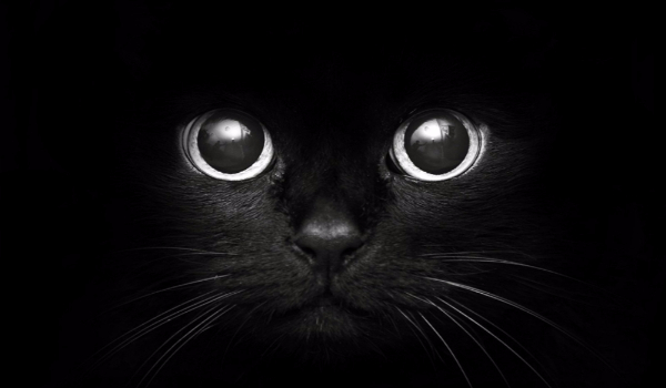 Świat się kończy #1