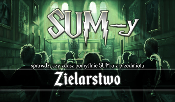SUM-y #2 – Zielarstwo!