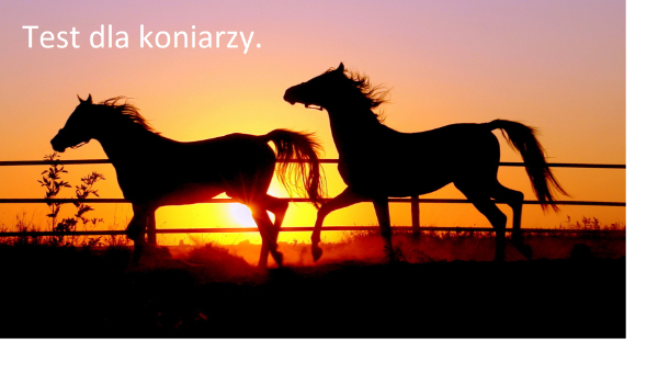 Test dla koniarzy.