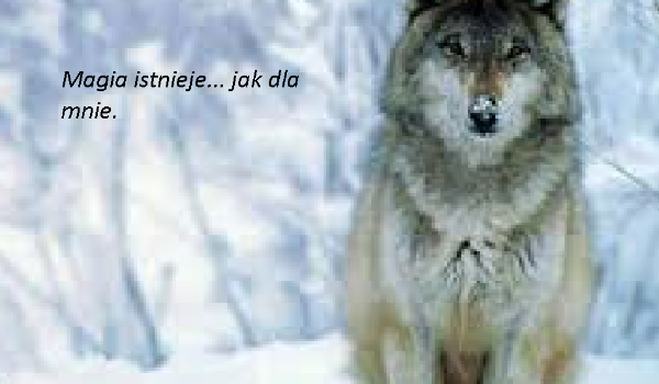 Magia… Istnieje jak dla mnie #22 KONIEC!