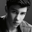 Mendes_Army