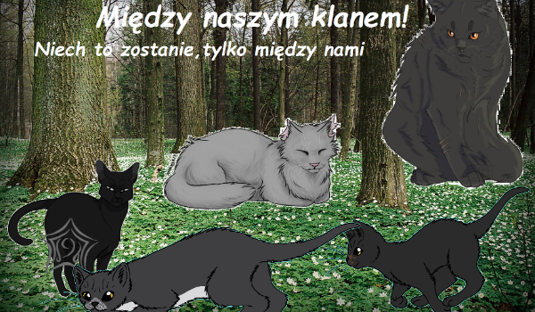 Między naszym klanem! #5