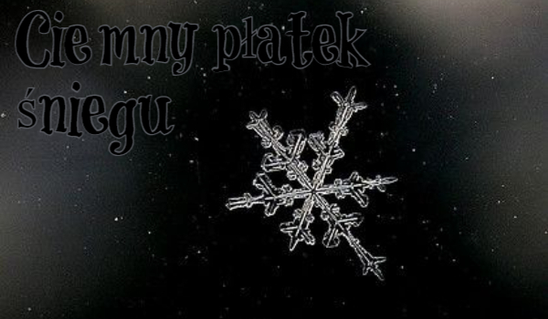 Ciemny płatek śniegu #2