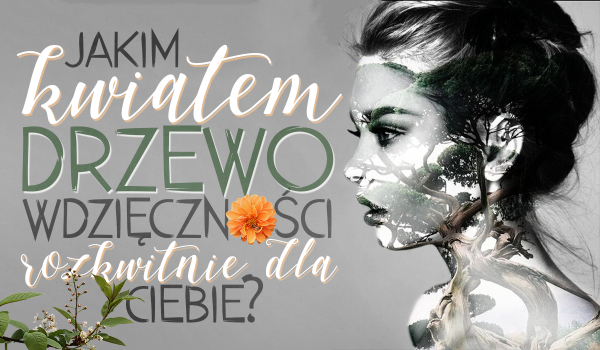 Jakim kwiatem drzewo wdzięczności rozkwitnie dla Ciebie?