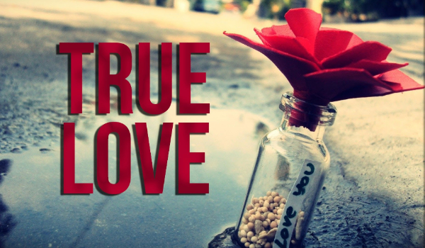 True Love#3