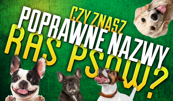 Czy znasz poprawne nazwy ras psów?