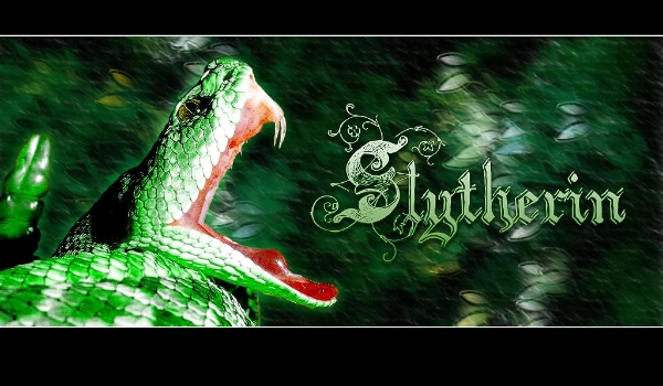 Slytherin#2 „Apollo mnie dusi,a Lilith i James się kłócą jak stare małżeństwo”