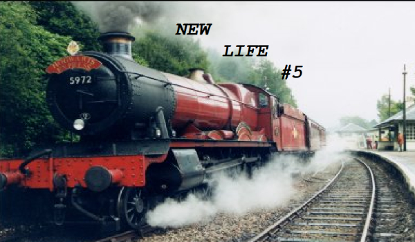 New life #5