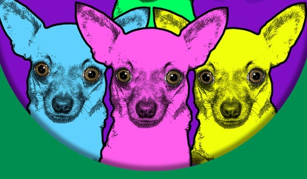 Czy rozpoznasz rasy psów w POP ART?