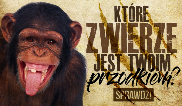 Jakie zwierzę jest Twoim przodkiem?