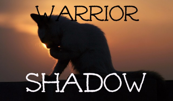 WarriorShadow #3