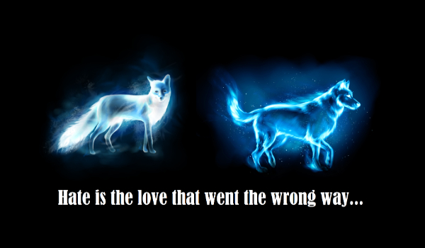 Hate is the love went wrong way #3