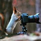 VilleLind_z_LudziLodu